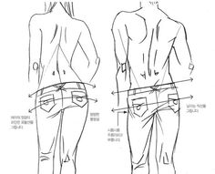 the back and side view of a man's body, with measurements drawn on it