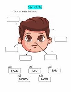 an info sheet showing the parts of a man's face, including his nose and mouth