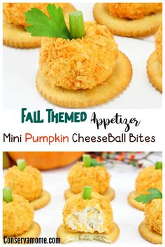 mini pumpkin cheeseball bites are the perfect appetizer to serve for halloween parties