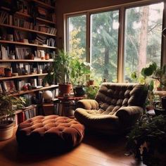 a living room filled with lots of plants and furniture next to large windows that look out onto the woods