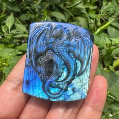 a hand holding a blue stone with a dragon on it's side in front of green leaves