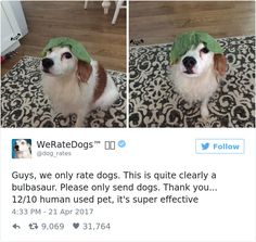 two pictures of a dog wearing a green hat