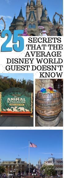 the cover of 25 secrets that the average disney world guest doesn't know