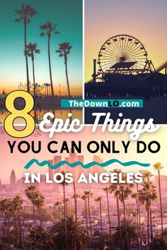 palm trees and ferris wheel with the words 8 epic things you can only do in los angeles