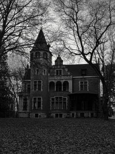 an old house in the woods with trees around it and leaves on the ground below