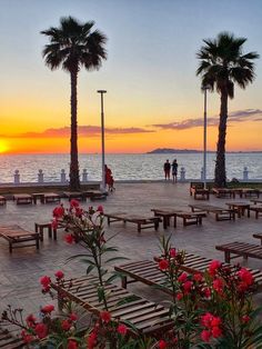 the sun is setting over the ocean with benches and palm trees in front of it