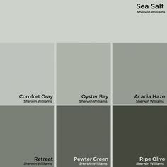 several shades of gray paint with the names sea salt and other words on them in white