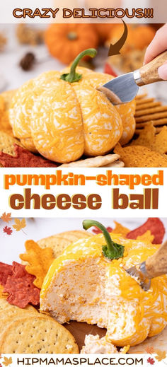 pumpkin shaped cheese ball recipe Pumpkin Cheese Ball Recipe, Ranch Cheeseball, Pumpkin Cheese Ball, Homemade Ranch Seasoning, Cheese Ball Recipe, Fall Appetizers, Cheese Pumpkin, Charcuterie Inspiration, Cheese Ball Recipes