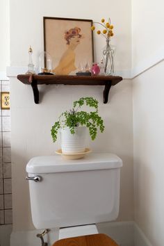 a white toilet sitting in a bathroom next to a wooden shelf with plants on it