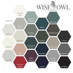 the color scheme for wise owl paint