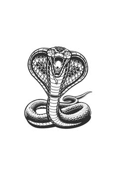 a black and white drawing of a snake