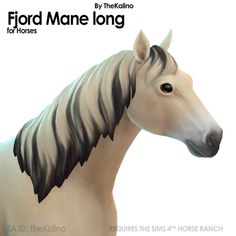 a white horse with black manes standing in front of a white background and text that reads, fiord mane long for horses