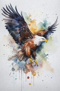 an eagle painted in watercolor on paper