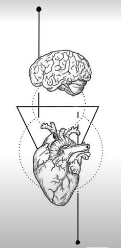 the heart and brain are labeled in this diagram