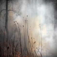 Travel Mood, Photography Series, Encaustic Art, Malbec, Beautiful Photography, Antonio Mora Artwork, Landscape Paintings, Watercolor Art