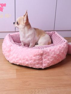 a small dog sitting in a pink pet bed