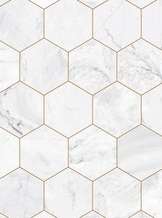 white marble hexagonal tiles with gold lines