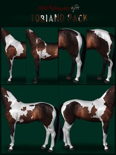 four different images of a horse with white and brown spots on it's body