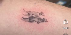 a dog and cat tattoo on the back of a man's upper arm,