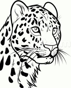 a black and white drawing of a leopard's face