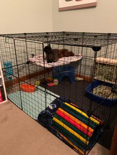 a dog in a cage with toys on the floor