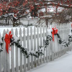 a white picket fence covered in snow with red bows