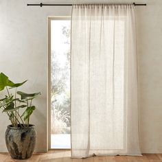 a potted plant sitting in front of a window with white drapes on it