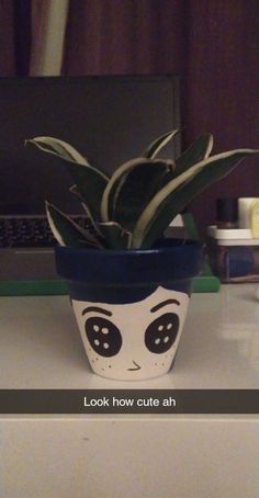 a potted plant sitting on top of a counter