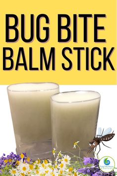 Bug Bite Balm Stick Essential Oils For Bug Bites, Natural Bug Bite Relief, Remedies For Mosquito Bites, Medicinal Herbs Remedies, Homemade Balm, Herbs Remedies, Homemade Salve, Medicine Recipes