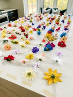 the table is covered with many different colored flowers