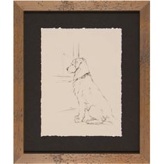 a drawing of a dog sitting in front of a window