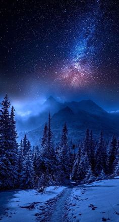 the night sky is filled with stars and clouds, as well as snow covered trees