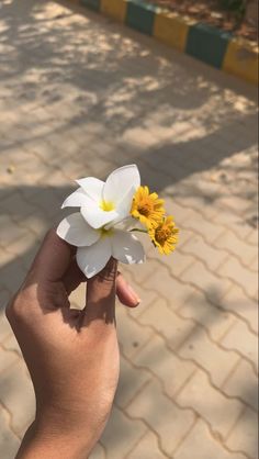 a hand holding two white and yellow flowers in it's left hand on a brick walkway