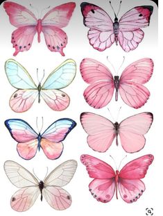 the butterflies are all different colors and sizes, but there is no image to describe