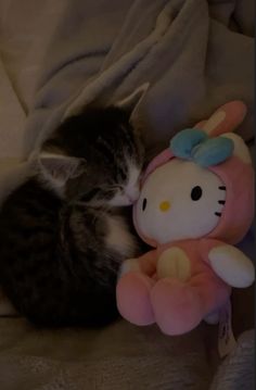 a cat is sleeping next to a stuffed animal