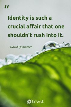 "Identity is such a crucial affair that one shouldn't rush into it."

- David Quammen

Taking time to understand and embrace our unique identity can lead to a more fulfilled life. This quote by David Quammen serves as a gentle reminder. What does your identity mean to you?

#trvst #quotes #socialchange #takeaction #identity #identityquotes #reflection #selfunderstanding #personaljourney #beyourself 

📷 @samyzfs