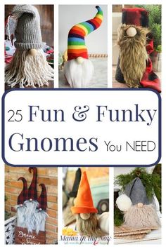 25 fun and funky gnomes you need