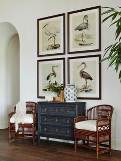 three framed birds are hanging on the wall above a blue dresser with two chairs and a potted plant