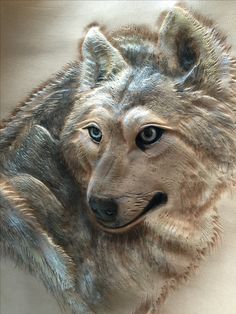 a drawing of a wolf's head with blue eyes and fur on a white surface