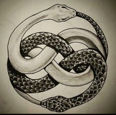 a drawing of a snake wrapped around a circle