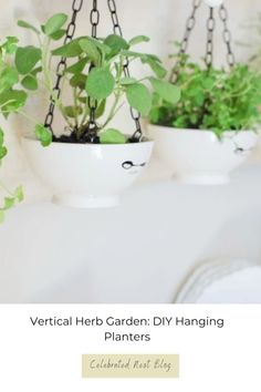 vertical herb garden diy hanging planters