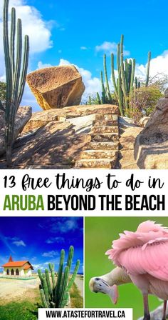 13 Free Things to Do in Aruba Beyond the Beach Best Things To Do In Aruba, Best Souvenirs From Aruba, Aruba Vacation Outfits What To Wear, Aruba Things To Do, What To Do In Aruba, Aruba Photo Ideas, Aruba Outfits What To Wear, Noord Aruba