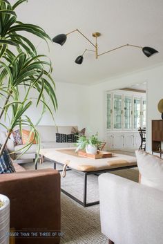 a living room filled with furniture and a plant in the middle of the room on top of a coffee table