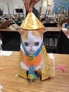 a cat that is sitting on top of a table