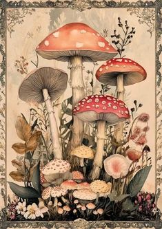 a painting of mushrooms and plants on a beige background