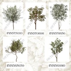 four different types of trees with numbers and names in english, thai, chinese or japanese