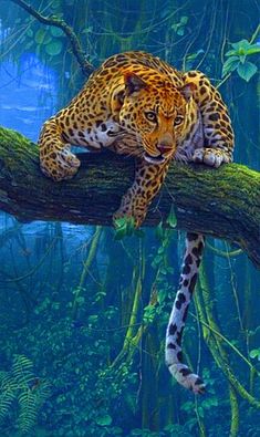 a large leopard laying on top of a tree branch