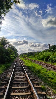 the train tracks are lined with green grass and trees on both sides, under a partly cloudy blue sky