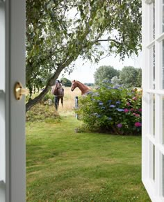 a horse is standing in the grass near a tree and bushes, looking through an open window at another horse