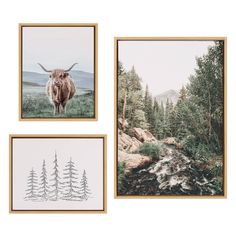 three framed pictures with animals and trees in the middle one is an elk, two are pine trees